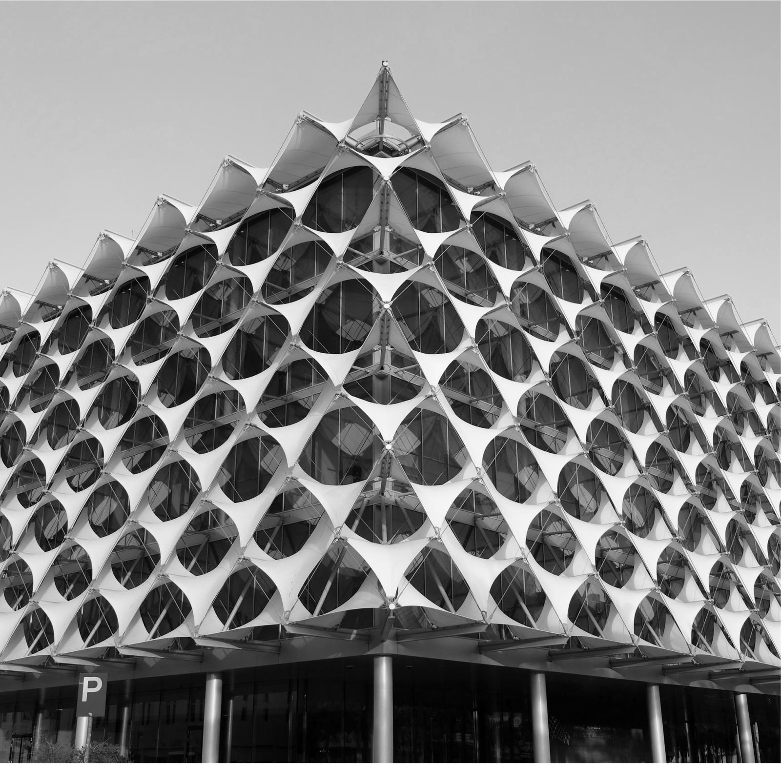 shutterstock 1169584528 1 - Privil